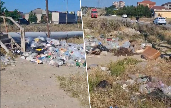Sakinlər zibili boş əraziyə atır, qurum təmizləmir, zibil qutuları azdır - Mehdiabadı ZİBİL BÜRÜYÜB