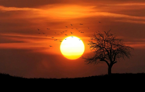 Dünyada 2025-ci il qeydlərə görə ən isti üçüncü il olub