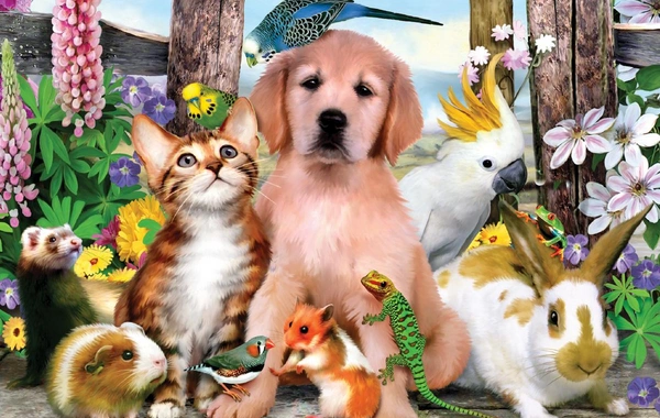 Назван простой способ стать любимцем всех домашних животных