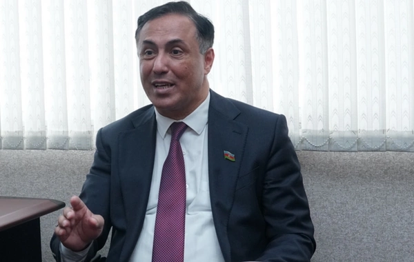 Elman Nəsirov: Mübarizəni kişi kimi aparın