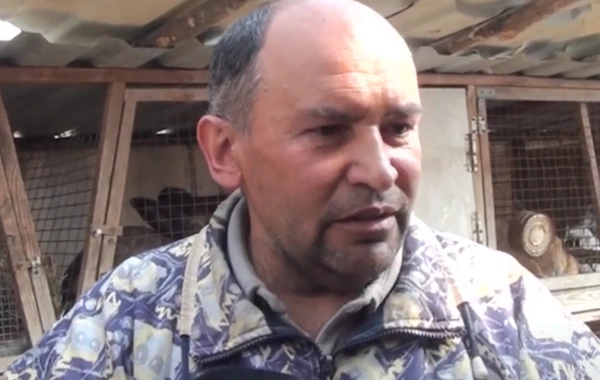 Uşaqlıq hobbisini təsərrüfata çevirən Xudat sakini: 60 dovşanı var