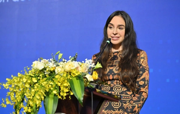 Leyla Əliyeva Mingəçevirdə şəhid ailəsini ziyarət edib, bir sıra sosial müəssisələrlə tanış olub