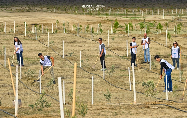 "Global Media Group"un təşəbbüsü ilə növbəti ağacəkmə aksiyası keçirilib
