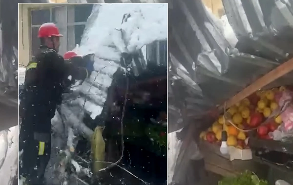 Güclü qar ağacı mağazanın üzərinə aşırdı - Yaşlı qadın...