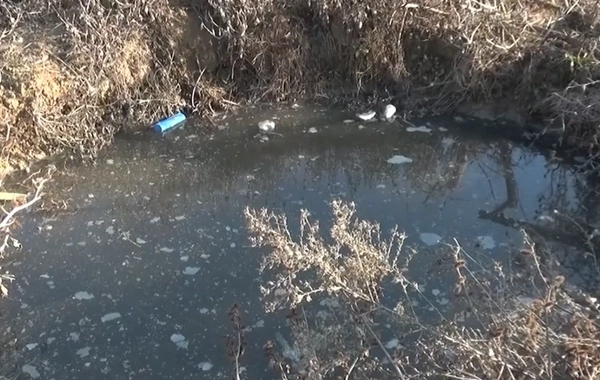 Beyləqanda azyaşlı faciəli şəkildə öldü - Babası dəhşətli hadisəni danışdı