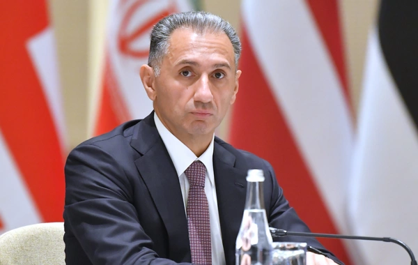 Rəşad Nəbiyev: İlham Əliyevin dünya çempionatının açılışında iştirakı cüdoya xüsusi önəmin göstəricisidir