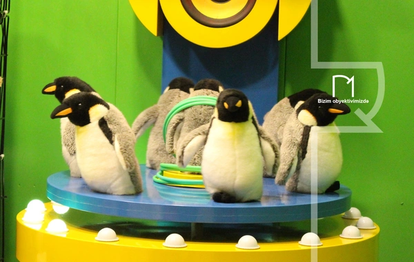 Dənizkənarı Bulvar Yeni İlə xüsusi hazırlaşıb - Bu dəfə Buz Meydançası da olacaq