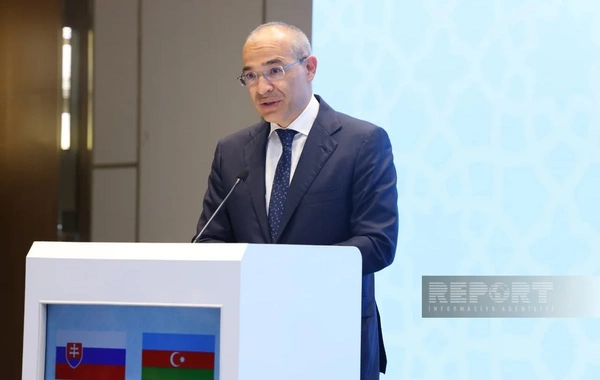 Azərbaycan-Slovakiya əməkdaşlığı üçün prioritet sahələr açıqlanıb