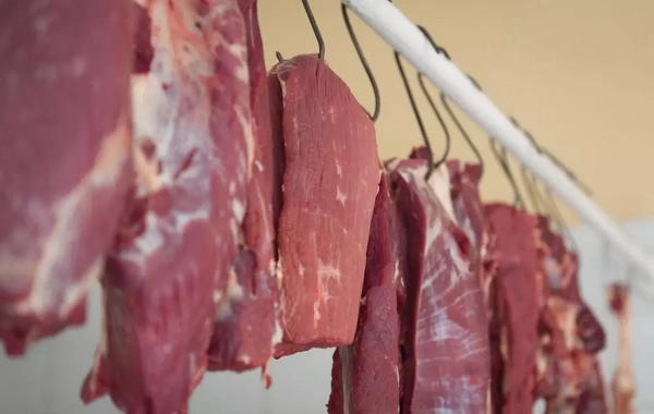 Azərbaycanda Somalidən gətirilən ətlər satılır? - RƏSMİ CAVAB