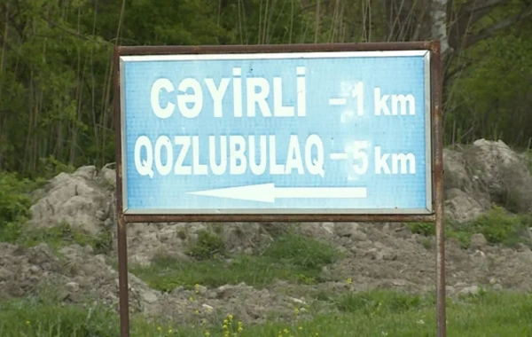 Şəkidə canavarlar kəndə HÜCUM EDİB: Təsərrüfatlara ciddi ziyan dəyib