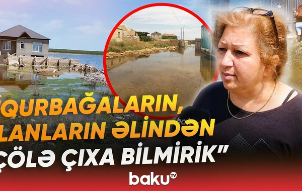 Məmmədlidə sakinlər kömək gözləyir - Ərazidə zəhərli heyvanların peyda olduğu iddia edilir
