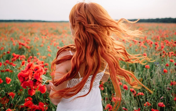 Scientists are trying to understand why the number of redheads in Europe has sharply increased