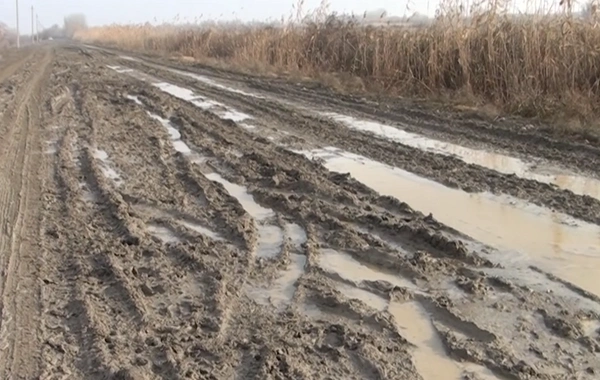 Min nəfər əhalisi olan kənd asfalt üzünə həsrət qalıb: Nə təcili yardım gəlir, nə taksi