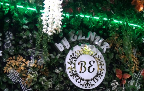 Bakıda gecə əyləncə klubunun fəaliyyəti dayandırılıb