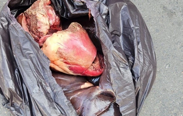 Bərdədə istehlaka yararsız at ətinin satışının qarşısı alınıb