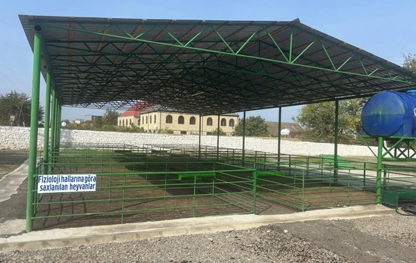 Şəmkirdə yeni heyvan satışı bazarı fəaliyyətə başlayıb