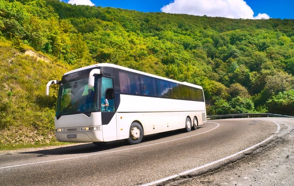 В Саудовской Аравии 42 паломника сгорели в автобусе после ДТП