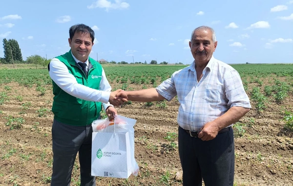 Cəlilabad və Biləsuvardan olan fermerlərə 10 min manatdan çox sığorta ödənişləri edilib