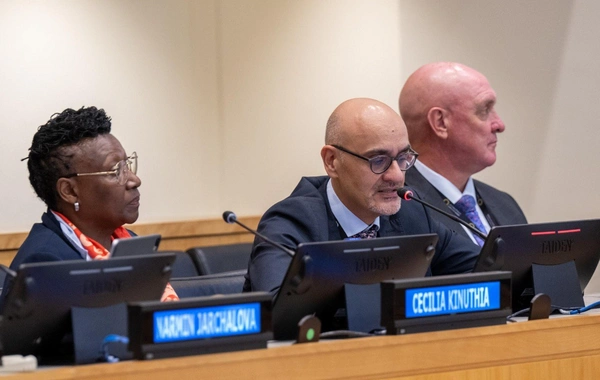 COP29 nümayəndə heyəti BMT Baş Assambleyasının sessiyası və Nyu-York İqlim Həftəsinə qatılıb