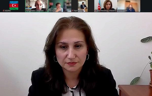 Azərbaycanda "Roblox" platformasının fəaliyyəti məhdudlaşdırıla bilər