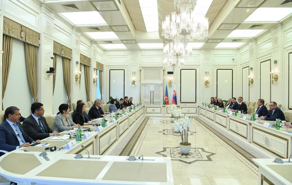 Sahibə Qafarova Slovakiya Milli Şurasının sədri ilə görüşüb