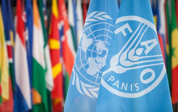 FAO: Azərbaycan dünyanın bioloji baxımdan ən zəngin ekosistemlərindən biridir