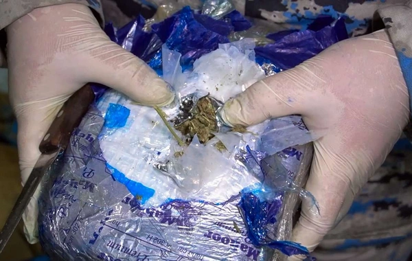 Azərbaycan gömrükçüləri narkotik vasitənin "göyərti" yükündə ölkəyə keçirilməsinin qarşısını alıb