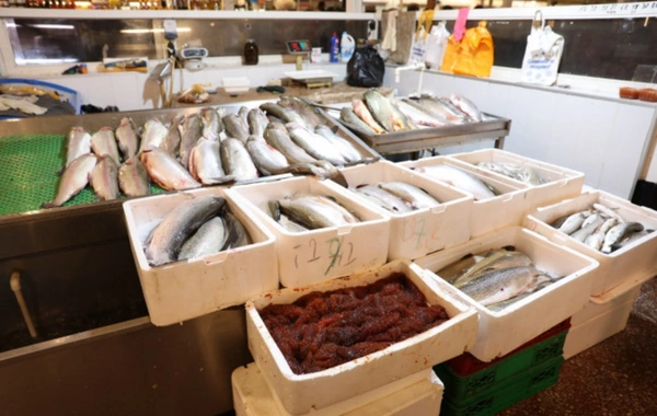 "8-ci km" bazarında bu yerin fəaliyyəti dayandırılıb