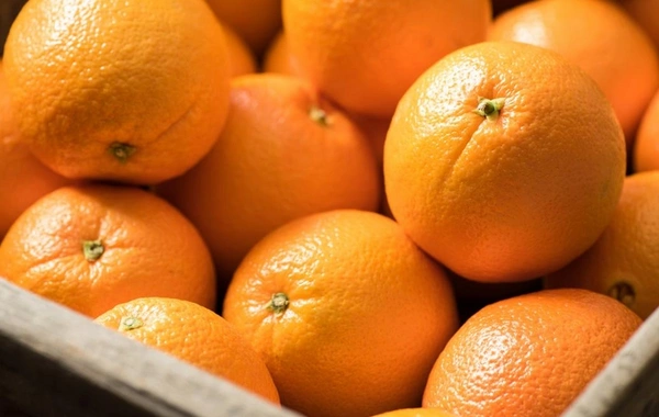 В импортированных из Ирана апельсинах обнаружен опасный краситель