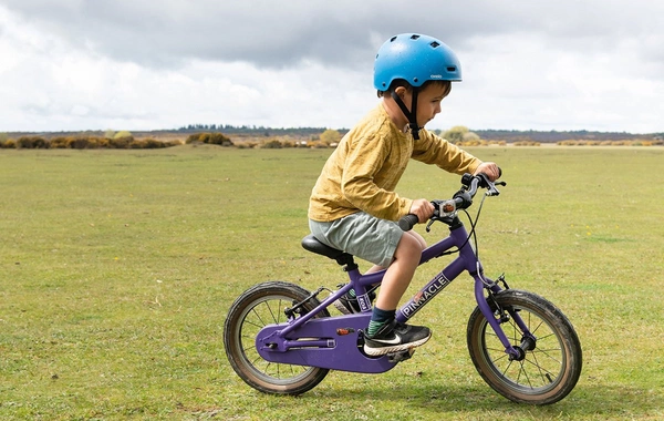 Ağdamda azyaşlı velosipeddən yıxılaraq ölüb