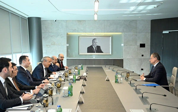 The Minister of Economy discussed cooperation in the field of winemaking with the CEO of Purcari Wineries