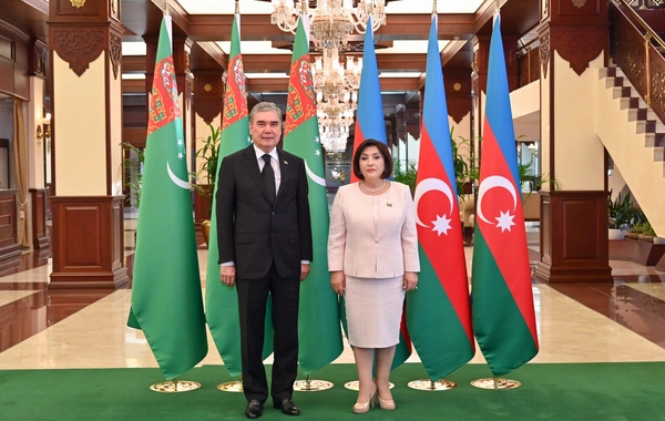 Milli Məclisin sədri Qurbanqulu Berdiməhəmmədov ilə görüşüb