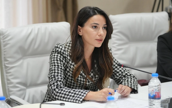 Gürcü nazir: Gələn il Bakı-Tbilisi-Qars dəmir yolu və enerji sektoru prioritet olacaq