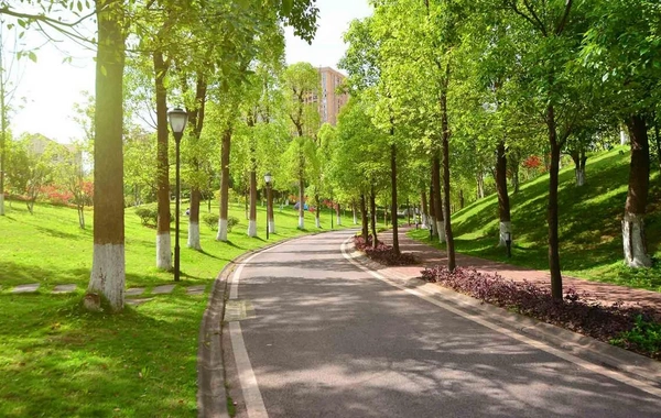 Gürcüstan Azərbaycanla sərhəd zonasında yeni milli park yaradır