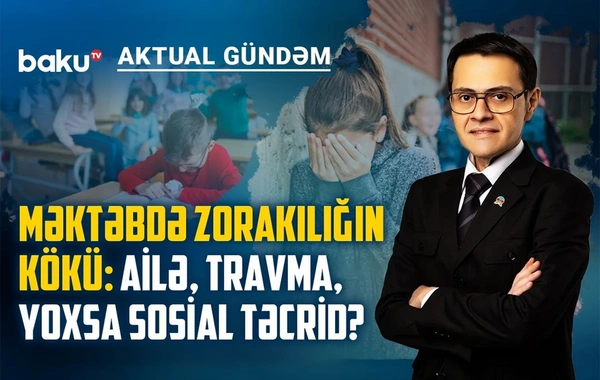 Məktəblərdə silahlı hücumlar niyə artır, uşaqlar nəyi demək istəyirlər?