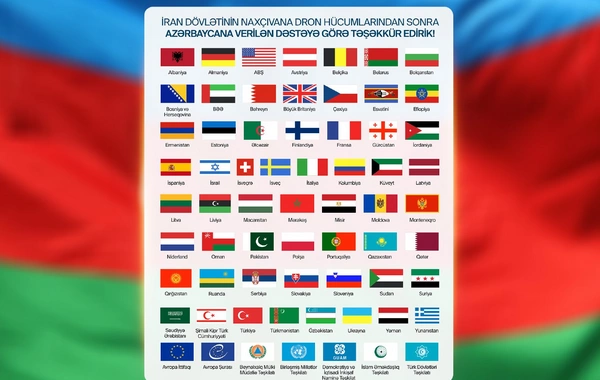 Международное сообщество выразило полную поддержку Азербайджану после атаки иранских дронов на Нахчыван