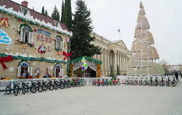 Leyla Əliyevanın təşəbbüsü ilə Yevlax şəhərində uşaqlar üçün Yeni il tədbiri keçirilib