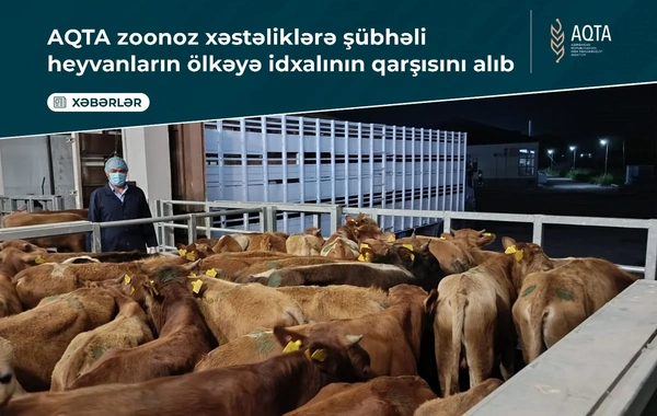 Azərbaycana xəstə heyvanların gətirilməsinin qarşısı alındı