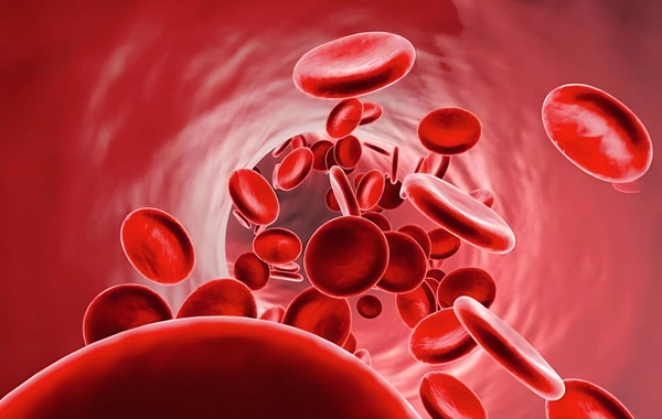 Названа группа крови, носители которой обычно не доживают до старости