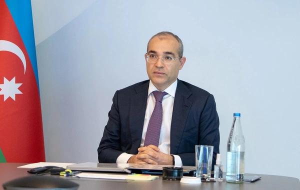 Nazir: "TDT-də qarşılıqlı sərmayələrin genişlənməsi inteqrasiyanın vacib istiqamətinə çevrilib"