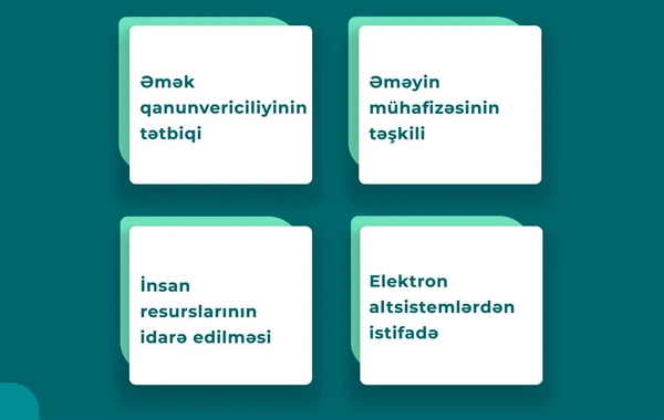 DOST Müfəttiş layihəsi üzrə daha 4 müəssisədə diaqnostik qiymətləndirmə aparılıb