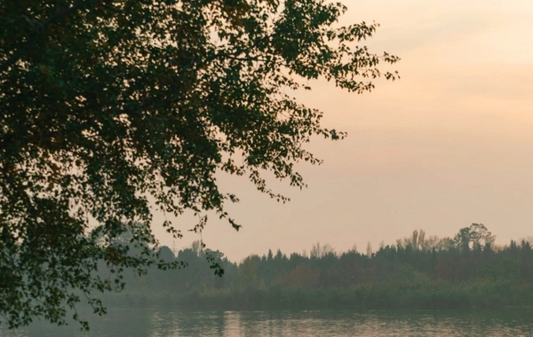 Leyla Əliyeva Mingəçevirdə yerləşən avarçəkmə bazasında idmançılarla görüşüb