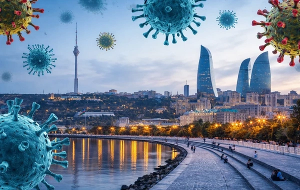 Волна вирусов в Азербайджане: существует ли риск появления новых угроз?