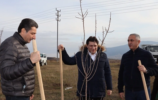 Xocalıda Heydər Əliyevin anım günü münasibətilə ağacəkmə aksiyası keçirilib