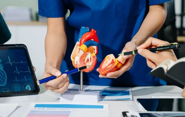 Alimlərdən ürək və immun sisteminə dair yeni nəticələr