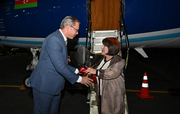 Sahibə Qafarova COP30-da iştirak etmək üçün Braziliyada işgüzar səfərdədir