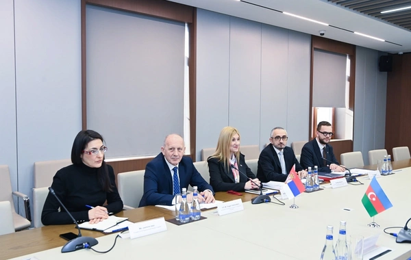 Azərbaycan və Serbiya arasında çoxtərəfli siyasi məsləhətləşmələr keçirilib