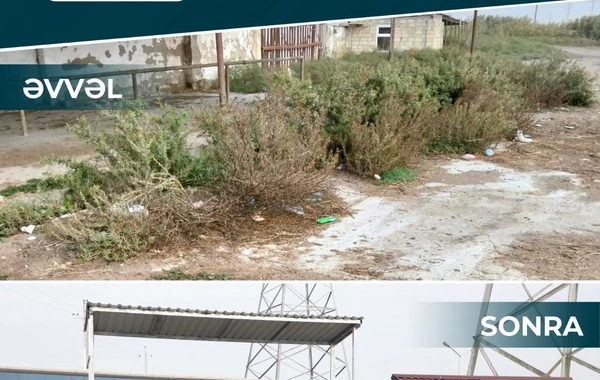 İki rayonda heyvan bazarları fəaliyyətə başlayıb