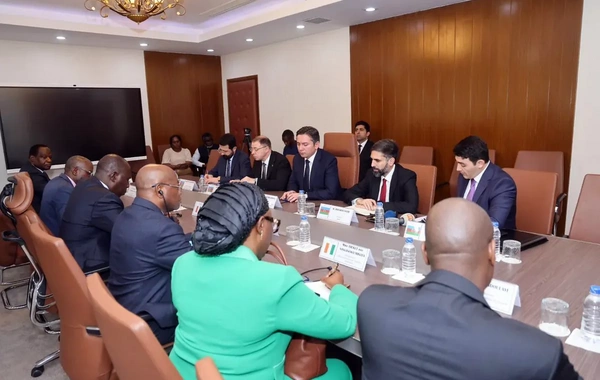 SOCAR-ın prezidenti Kot-d'İvuarda görüşlər keçirib