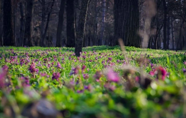 Sabaha 23° isti gözlənilir